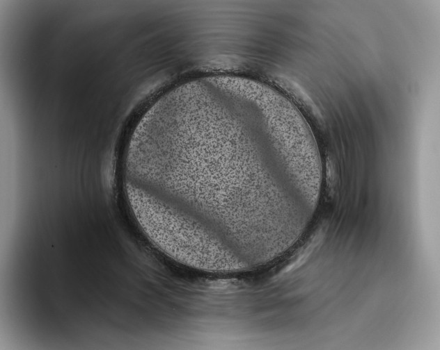 X0000094190396200711091205