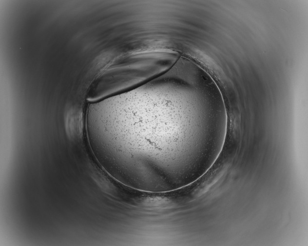 X0000094190397200711091205