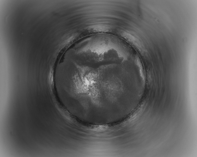 X0000094190398200711091205