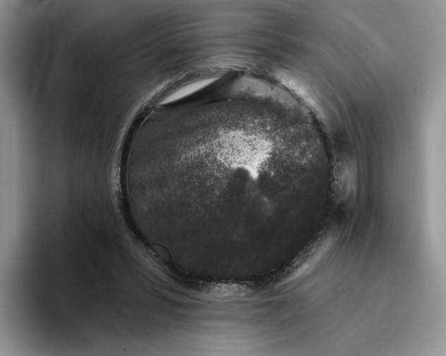 X0000094190399200711091205