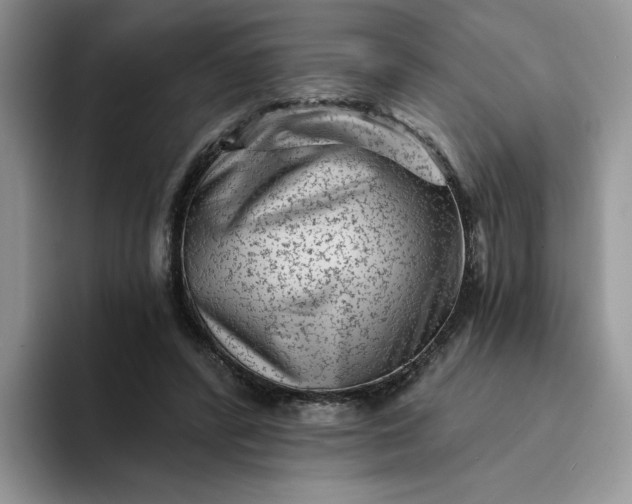 X0000094190400200711091205