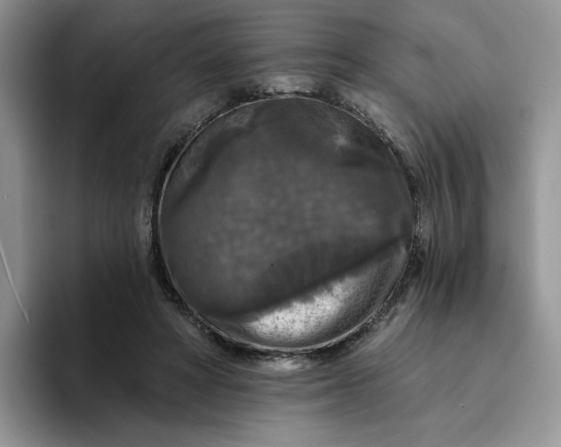 X0000094190402200711091205