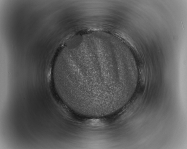 X0000094190406200711091205