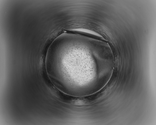 X0000094190412200711091205