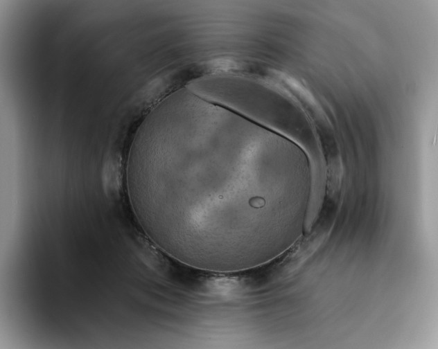 X0000094190413200711091205