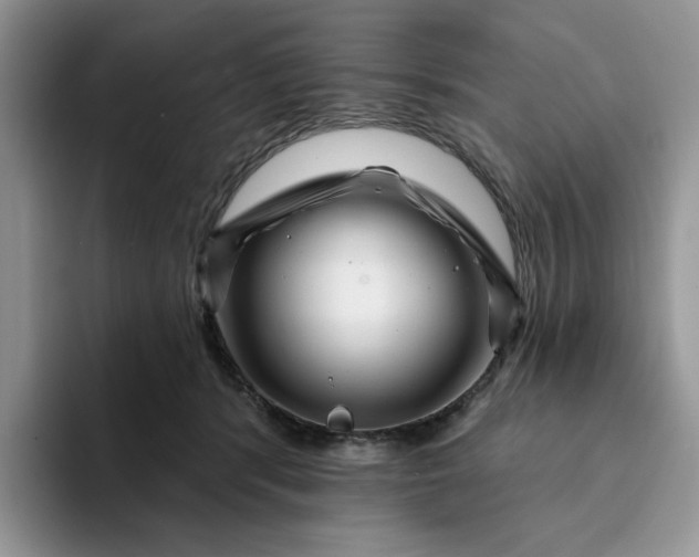 X0000094190416200711091205