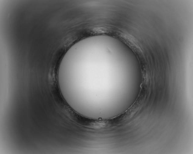 X0000094190418200711091205