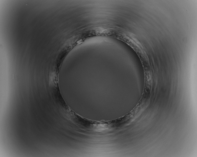 X0000094190419200711091204