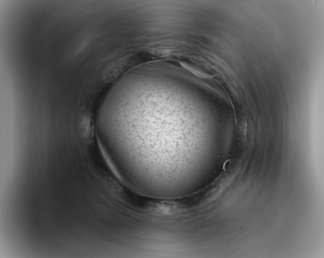 X0000094190420200711091204