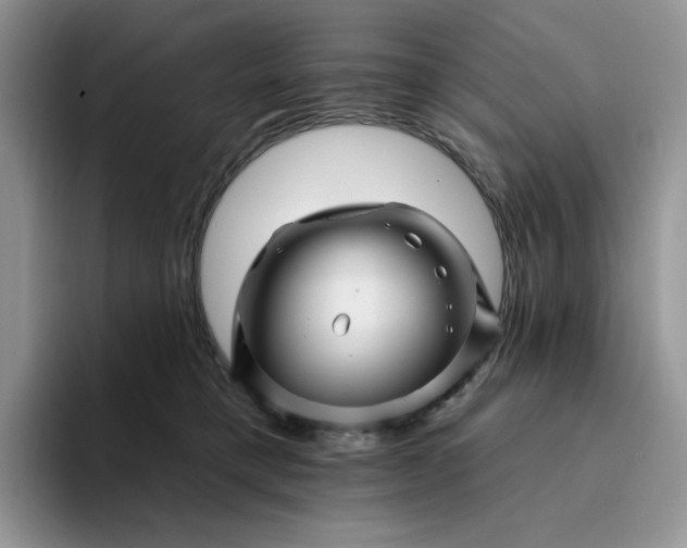 X0000094190421200711091204