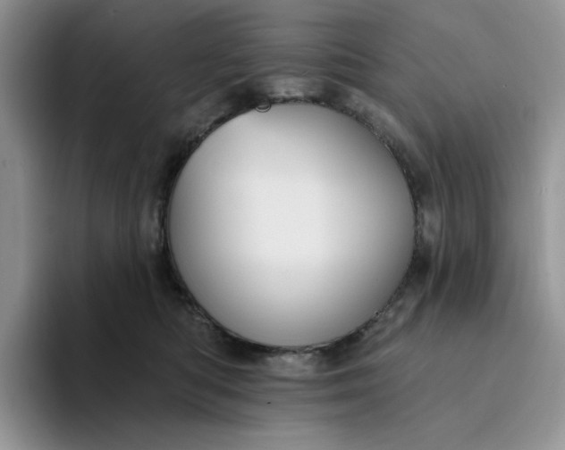 X0000094190422200711091204