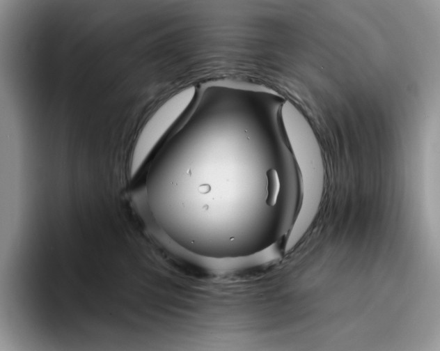 X0000094190423200711091204