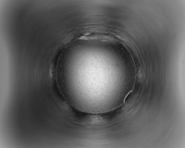 X0000094190424200711091204