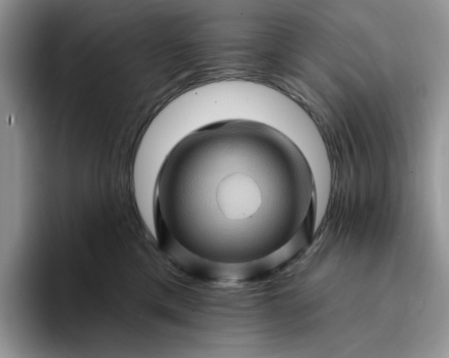 X0000094190425200711091204