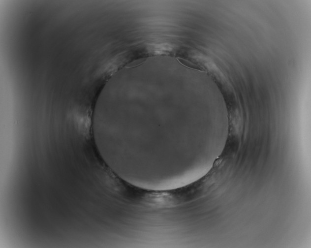 X0000094190427200711091204