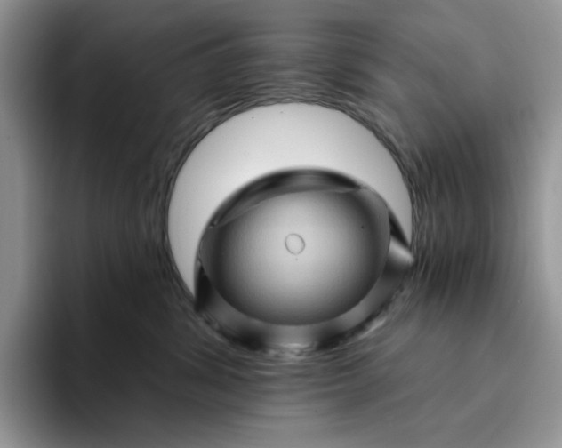 X0000094190428200711091204