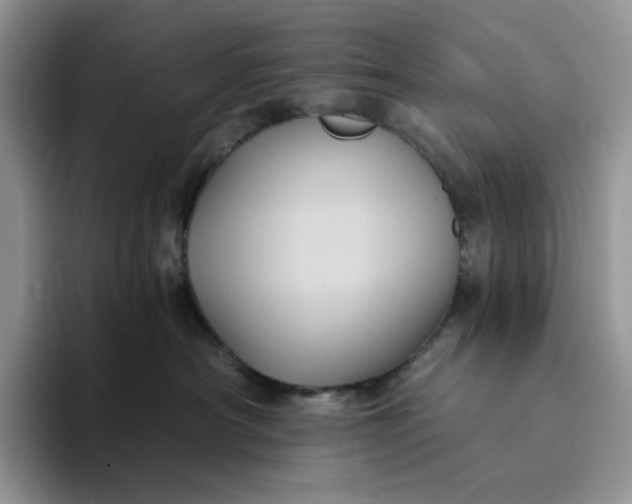 X0000094190430200711091204