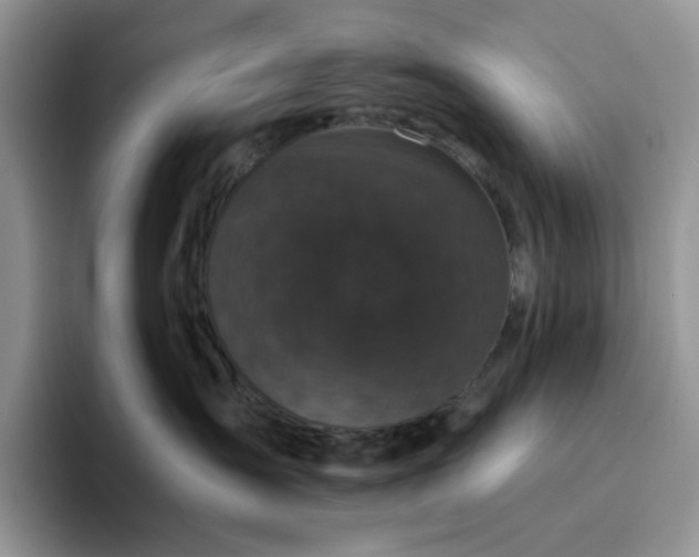 X0000094190431200711091204