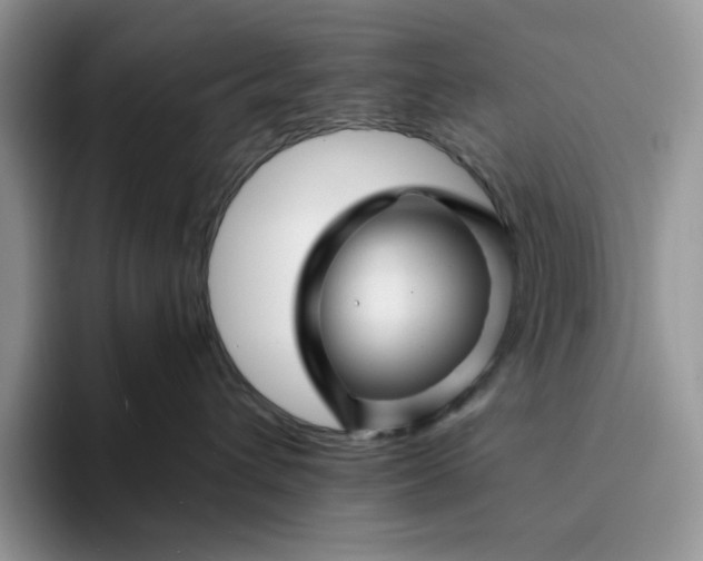 X0000094190432200711091204