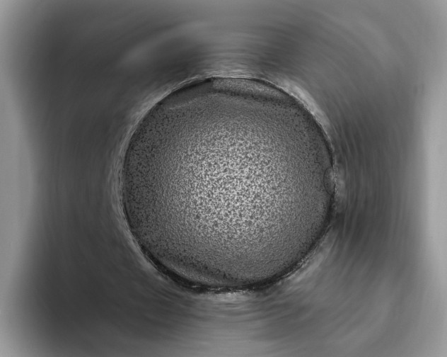 X0000094190433200711091204