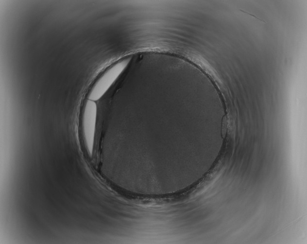 X0000094190434200711091204