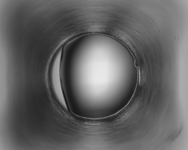 X0000094190435200711091204