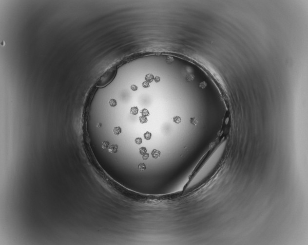 X0000094190437200711091204