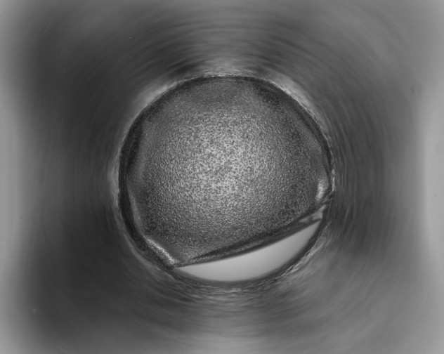 X0000094190438200711091204