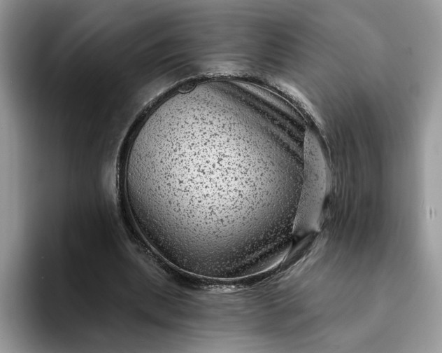 X0000094190439200711091204