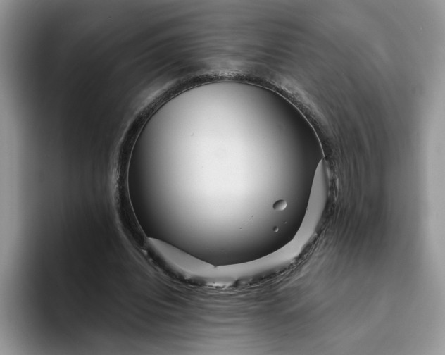 X0000094190440200711091204