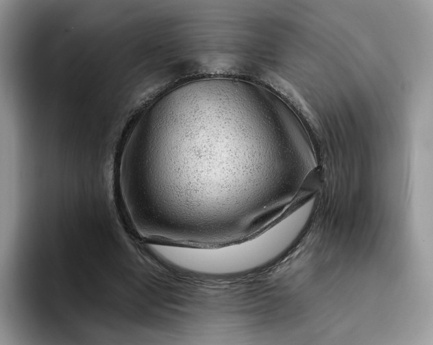 X0000094190442200711091204