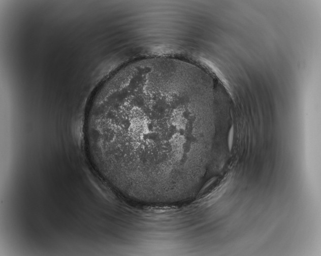 X0000094190443200711091204