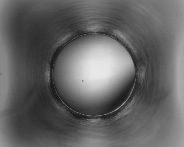 X0000094190446200711091204