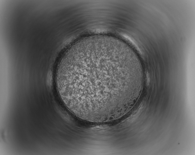 X0000094190447200711091204