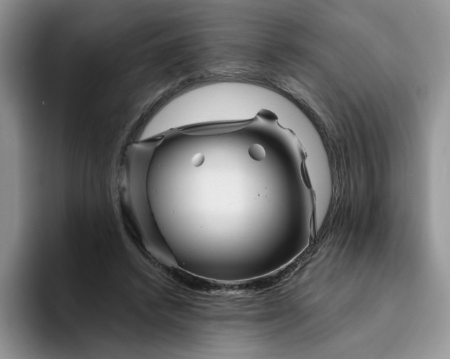 X0000094190448200711091204