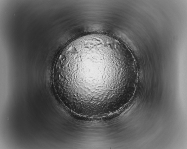 X0000094190449200711091204