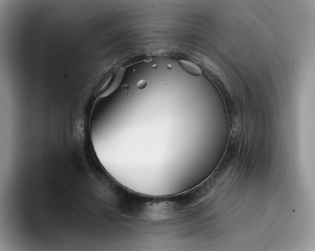 X0000094190452200711091204