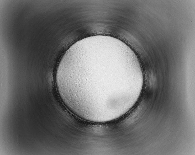 X0000094190453200711091204