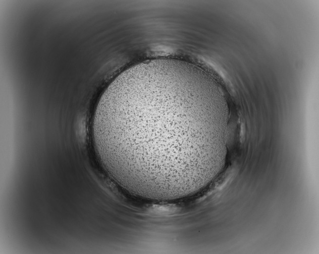 X0000094190455200711091204