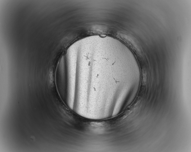 X0000094190457200711091204