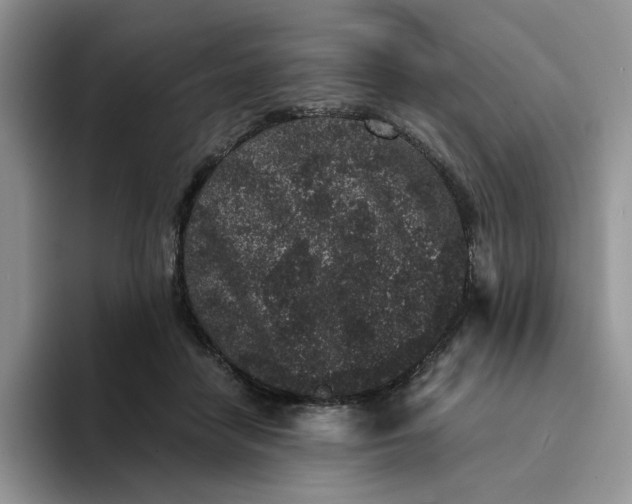 X0000094190458200711091204