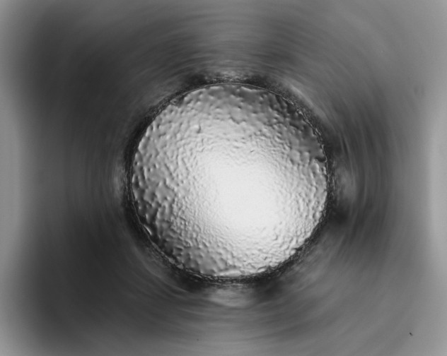 X0000094190459200711091204