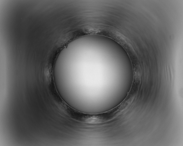 X0000094190460200711091204