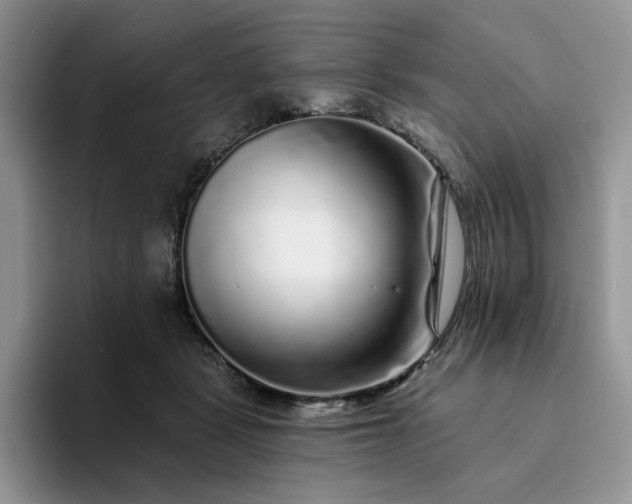 X0000094190461200711091204