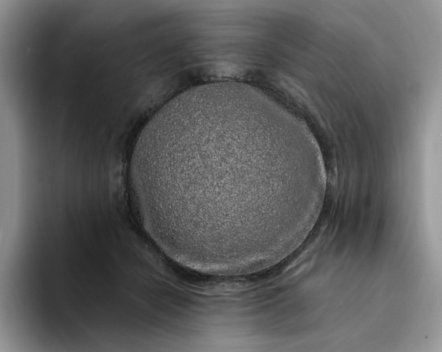 X0000094190462200711091204