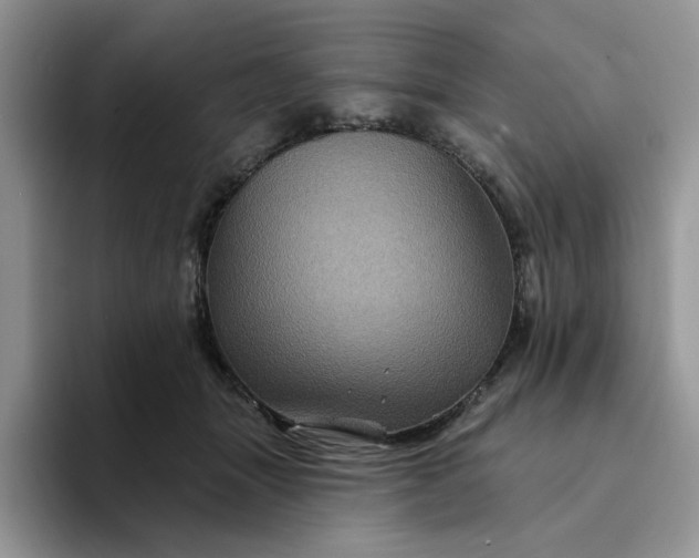 X0000094190463200711091204