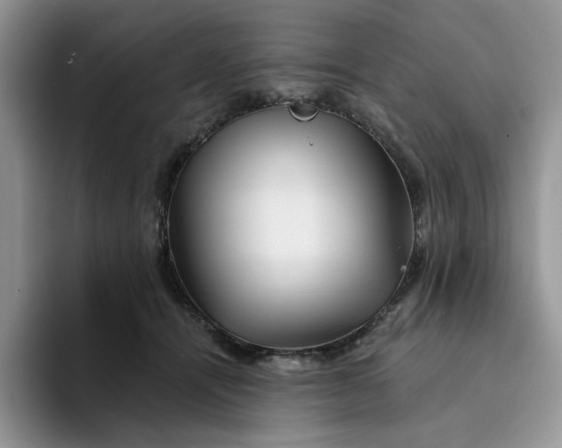 X0000094190464200711091204