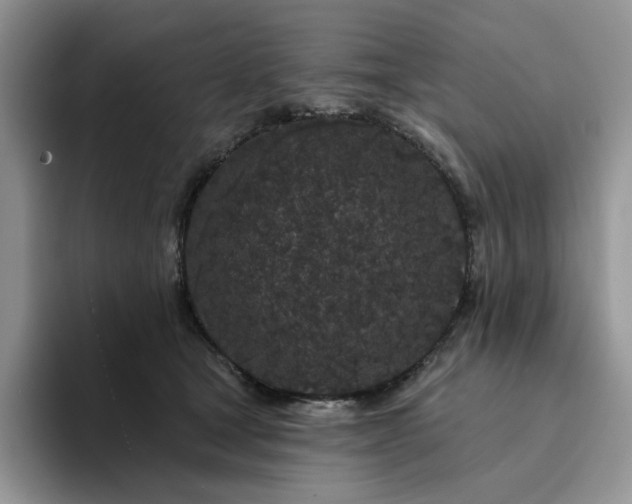 X0000094190465200711091204