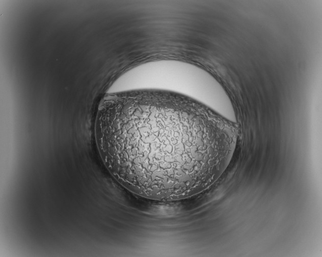 X0000094190466200711091204