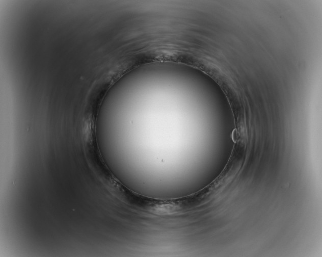 X0000094190468200711091204